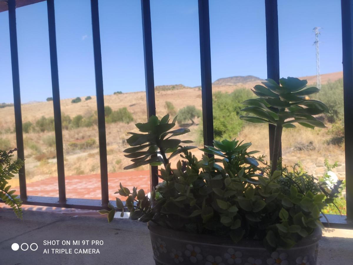カサベルメハ El Lagar De Pepe Bed & Breakfast エクステリア 写真